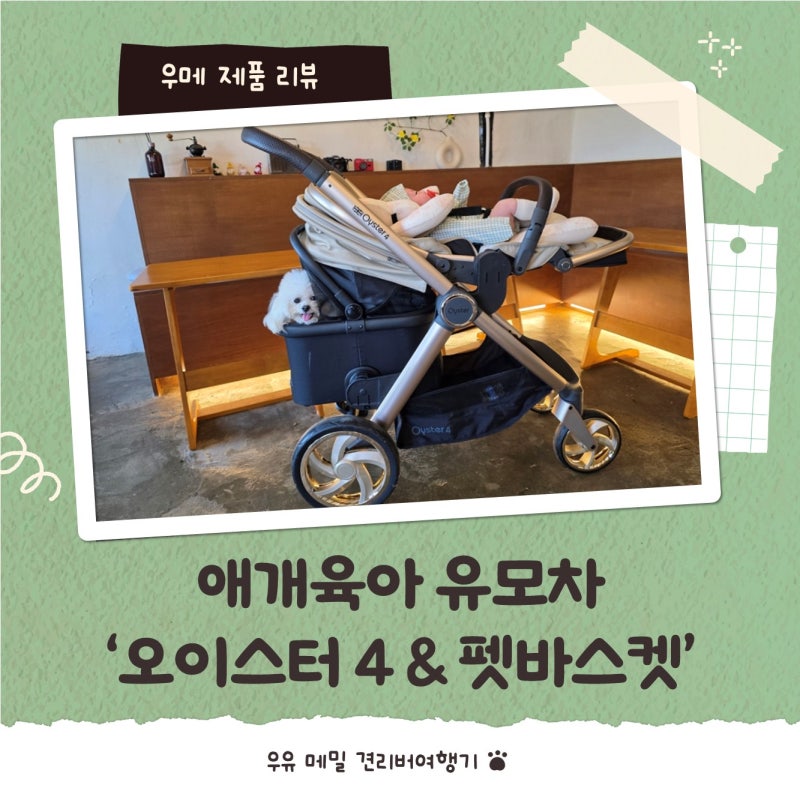 오이스터4 유모차와 펫바스켓 내돈내산 장단점 총정리 후기