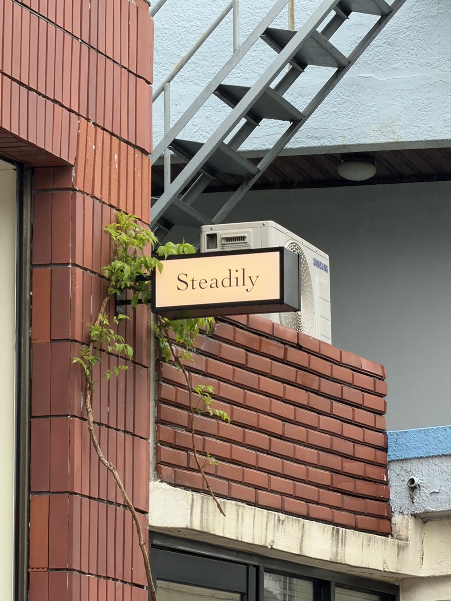 스테딜리 사진 1