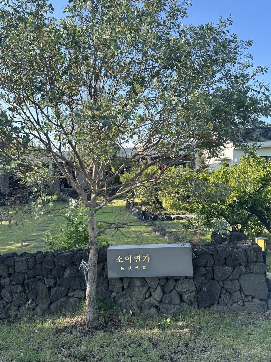 소이연가 사진 1