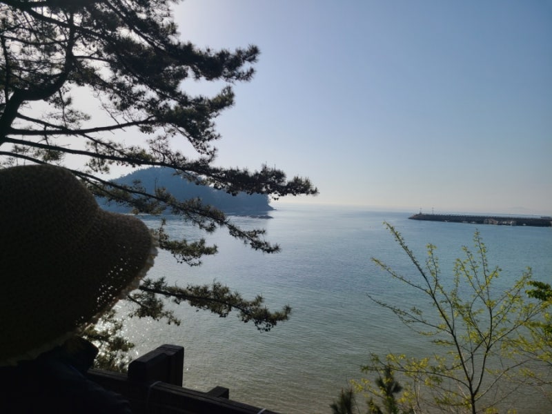 서해안 가볼만한곳 천리포수목원 가족 숙소 에코힐링센터