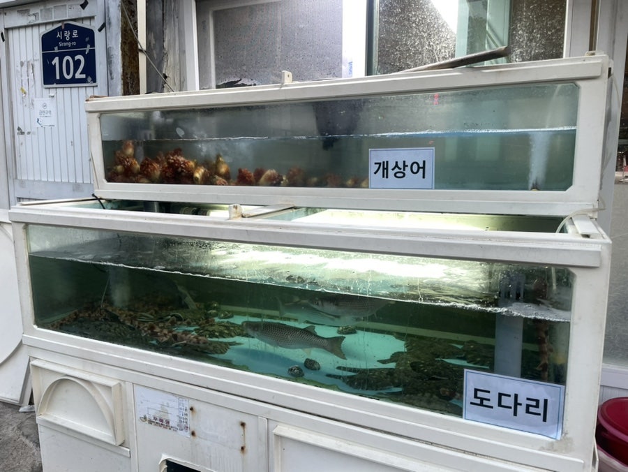원조의성산곰장어 사진 2