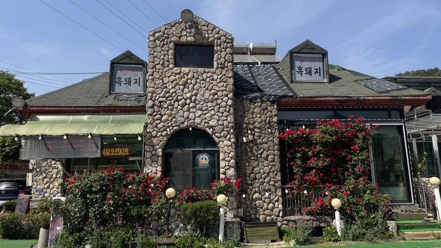 지리산흑돼지 사진 1