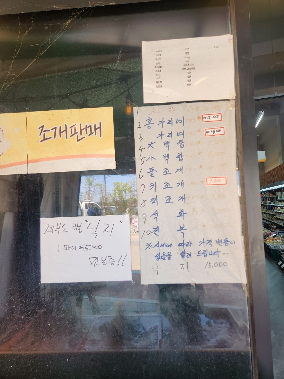 일마레 사진 5