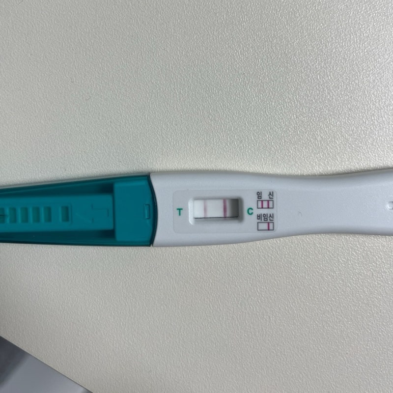 [임신 기록] 8주 계류유산, 자연배출 후기