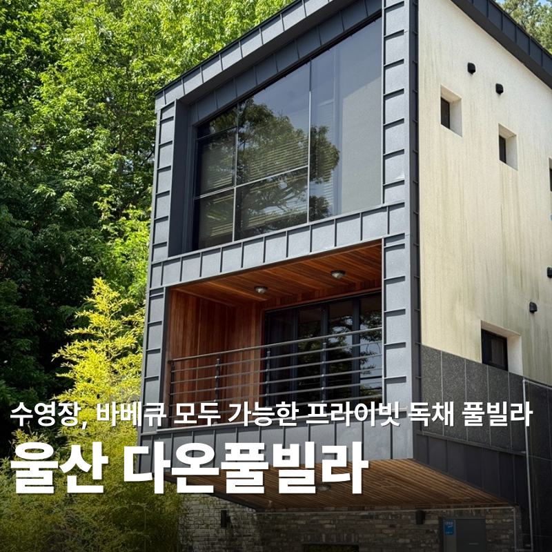 다온풀빌라 사진 1