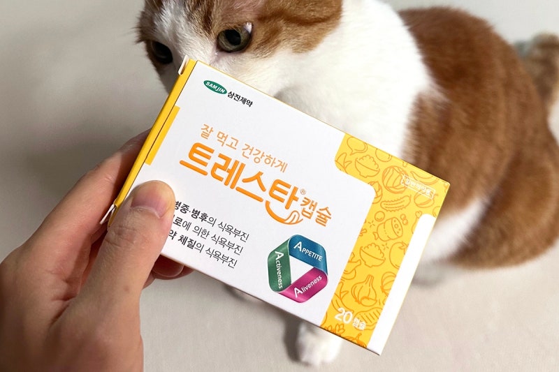 고양이 식욕촉진제 트레스탄 후기｜미르타자핀에서 변경한 IBD·신부전·췌장염 고양이