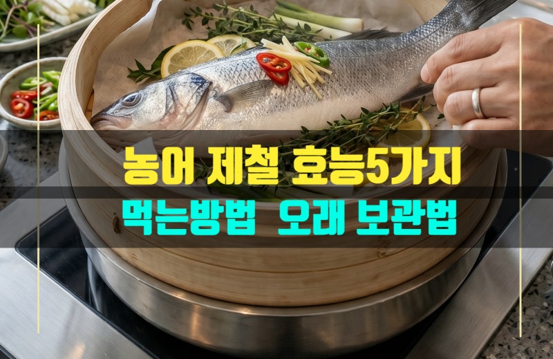농어 제철 효능5가지 깔다구 제철 먹는방법 보관방법 5월 제철 생선 요리방법 신선한 농어 고....