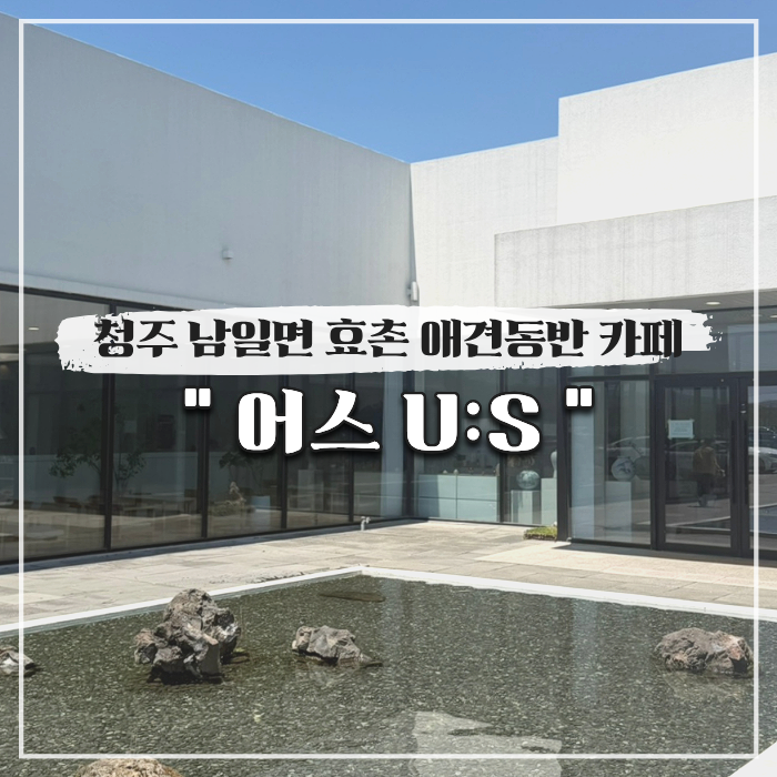  청주 남일면 효촌 애견동반 태하 카페 어스