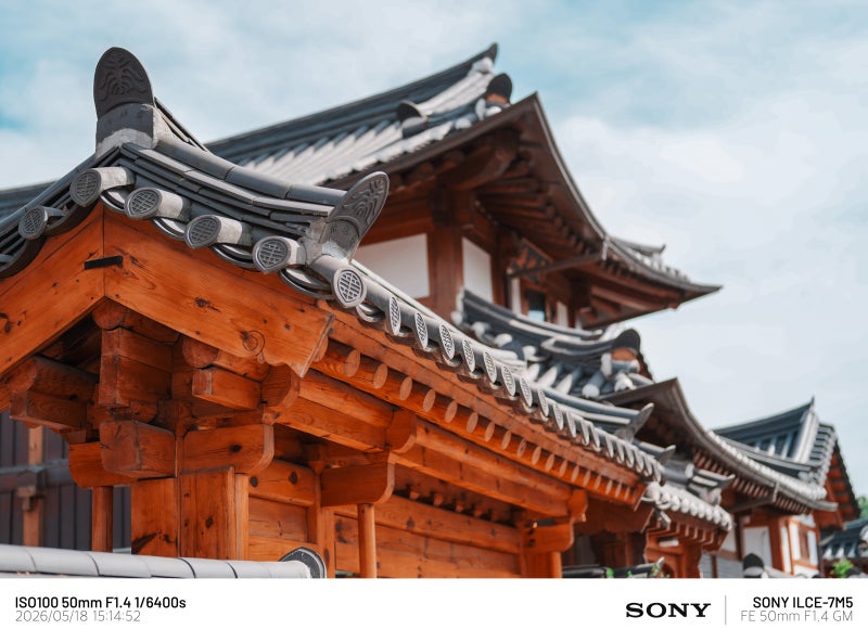 A7M5 vs A7R6 비교 | 편의성 vs 고화소뽕? 소니 50mm F1.4 GM 렌즈 결과물 최저가 50.4gm