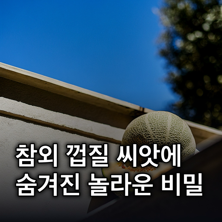  참외 효능 7가지, 껍질·씨의 숨겨진 영양과 부작용까지