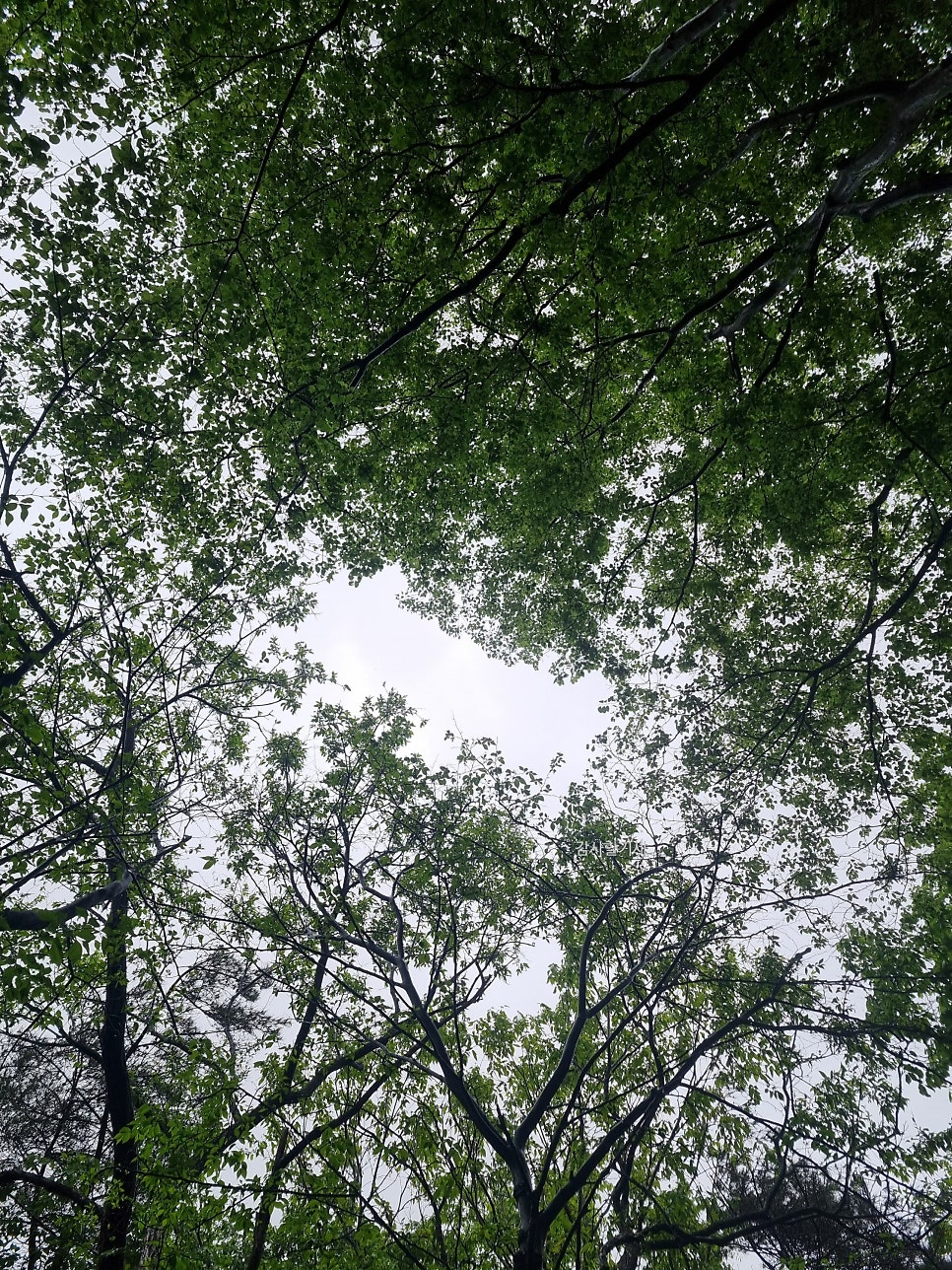 뒷골 사진 3