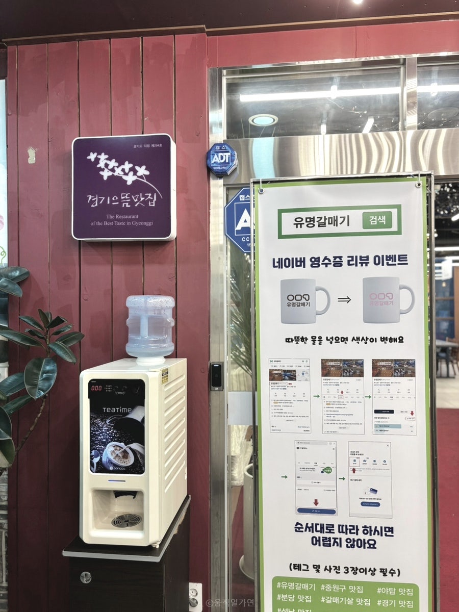 유명갈매기 사진 2