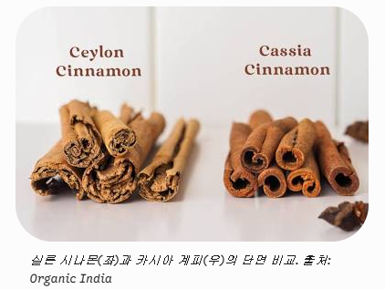 시나몬인줄 알았는데 계피였다!?