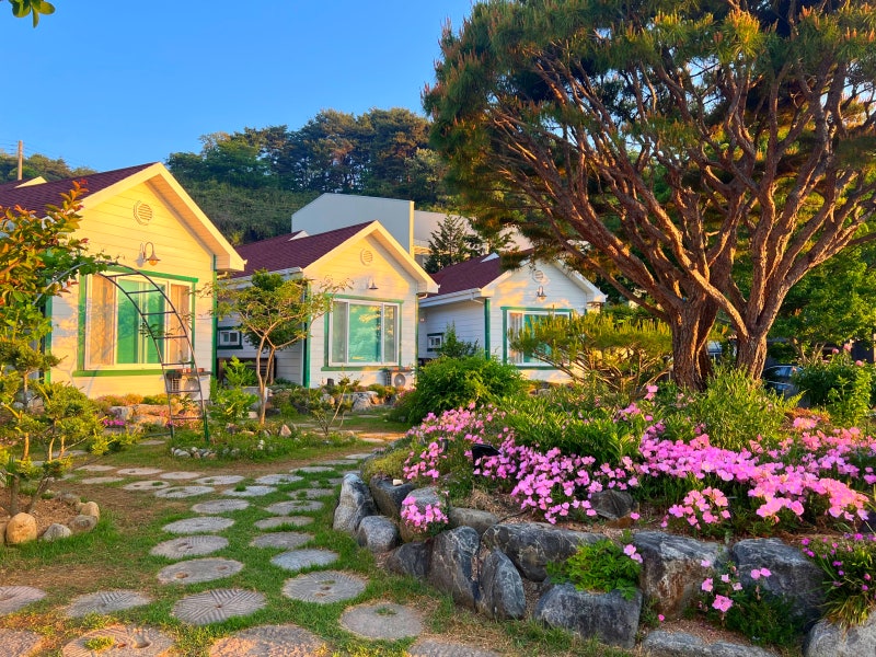 [합천여행] 합천반값여행으로 다녀온 '합천황매산펜션'솔직후기