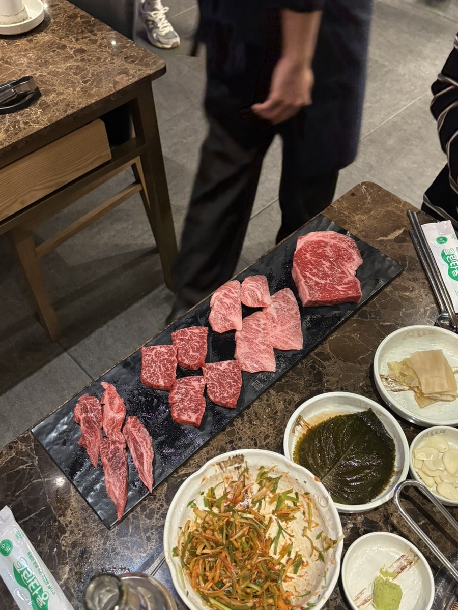 욜로 사진 3