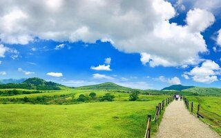  타이베이 양명산 & 예류 지질 일일 투어 - 자연과 지형을 한번에