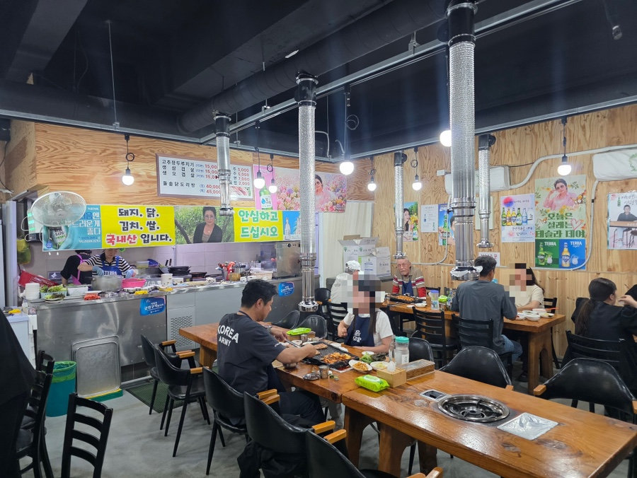 제주도똥돼지 사진 5