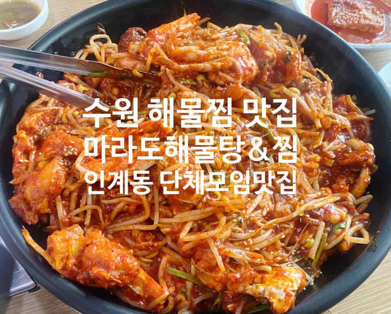 인계동 해물찜 맛집 '마라도 해물탕&찜' 수원본점, 푸짐한 해물아구찜 후기