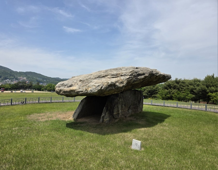 황금반점 사진 1