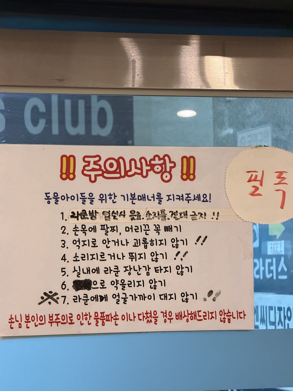 라쿤브라더스 사진 6