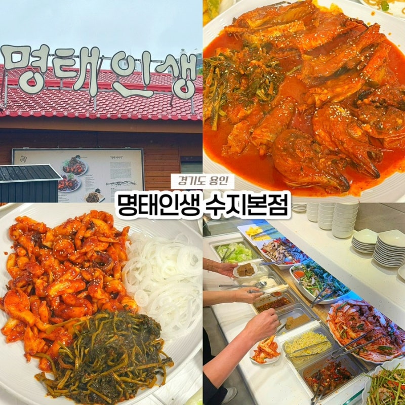 용인 수지 맛집, 수지외식타운 명태인생 명태조림 내돈내산 솔직후기