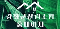 강화작은영화관 사진 2