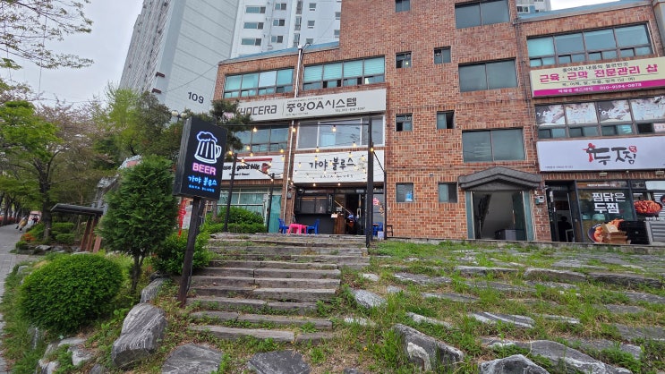  [미식의 기록] 부산 가야진구 가야 / MT 뒤풀이로 찾은 동의대역 감성 라운지 펍, 가야블루스