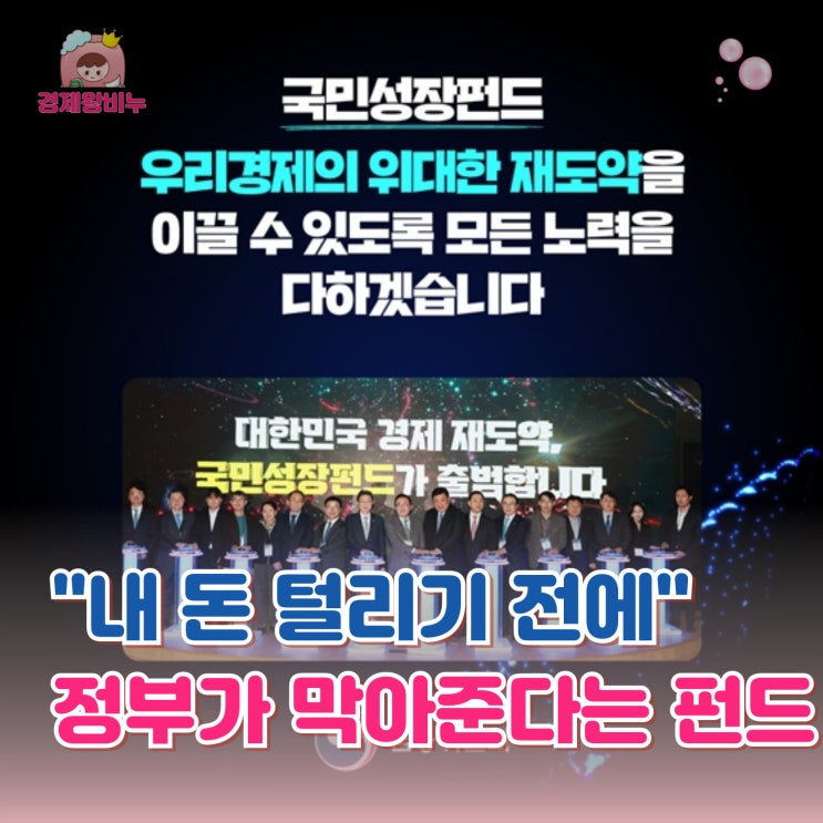 내 돈 털리기 전에 정부가 막아준다는 <b>국민성장펀드</b> 지원 사업