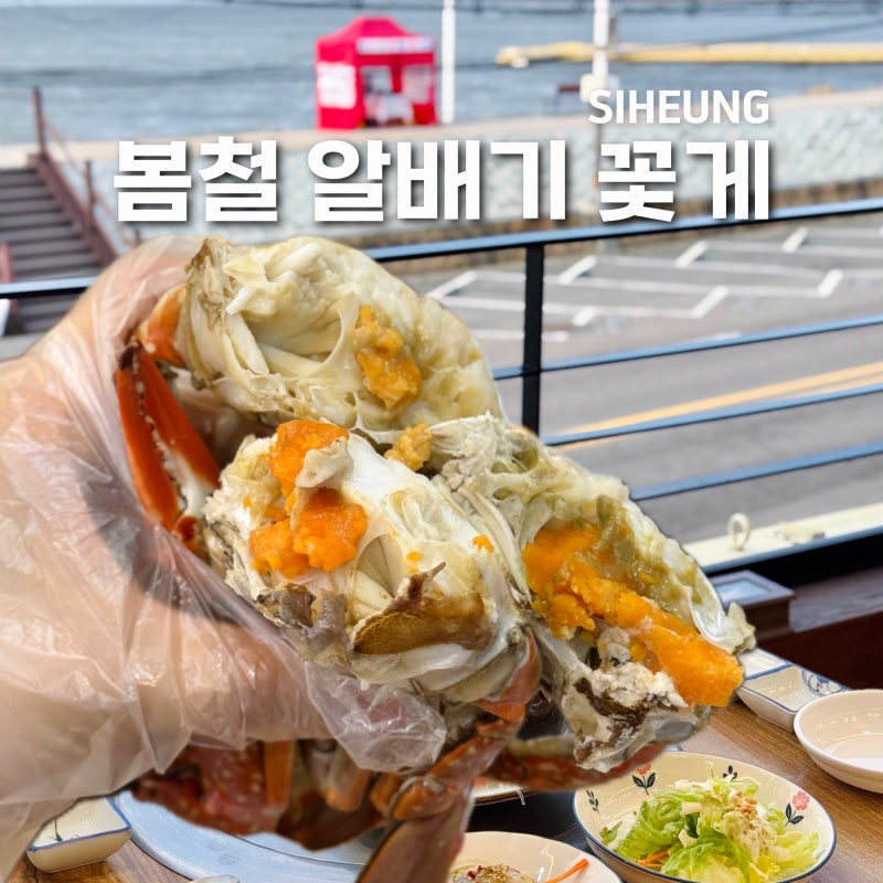 오이도 점심 맛집 알배기 꽃게찜 꽃게탕 잘하는 해상공원 횟집