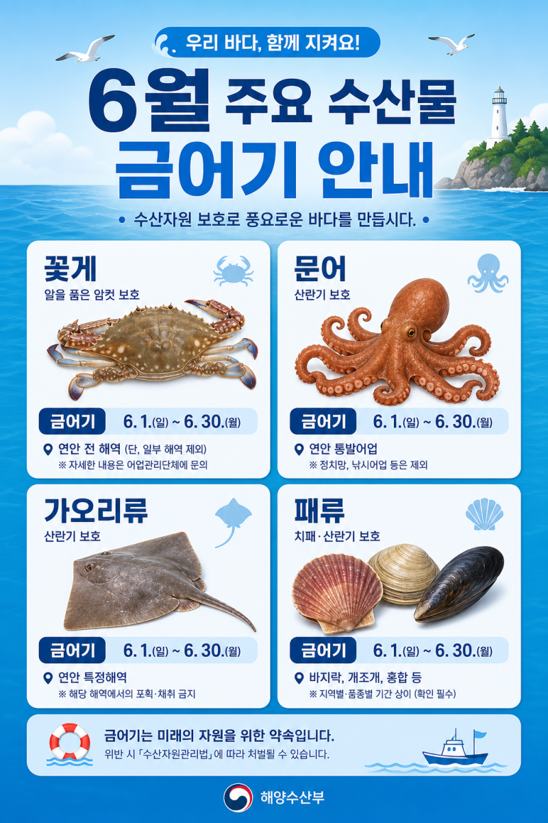 2026년 6월 금어기 총정리: 낙지·꽃게·대게·참문어까지 한눈에 확인