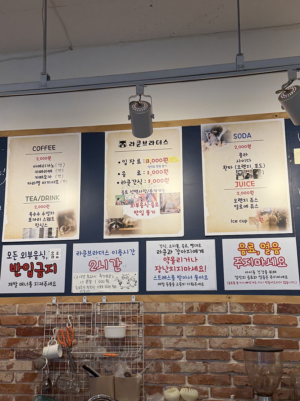 라쿤브라더스 사진 3