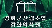 강화작은영화관 사진 3