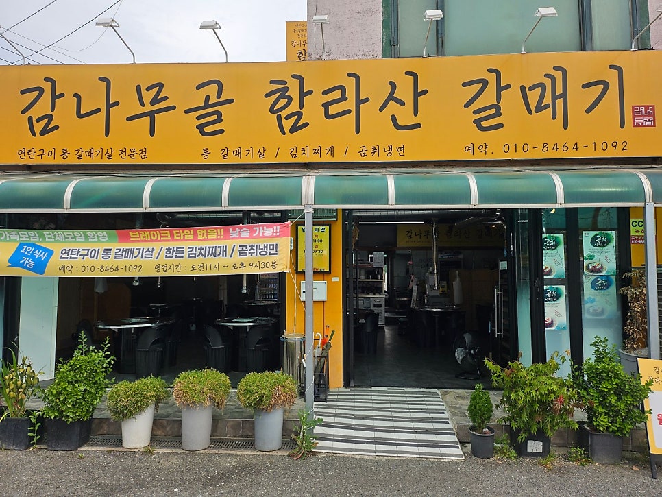 감나무골함라산갈매기 사진 1