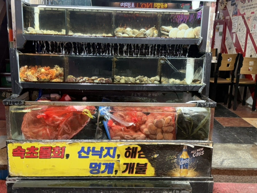한신포차마차 사진 2