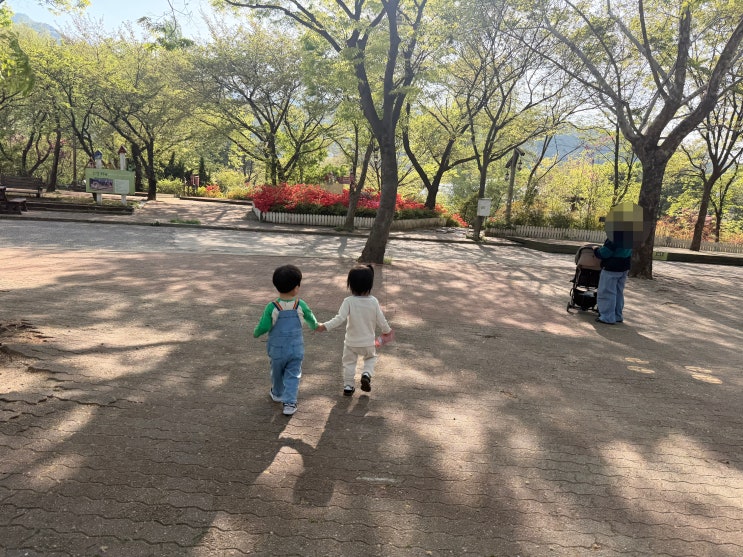  대구 아르떼 수성랜드 동물 구경 아이랑 가볼만한 곳