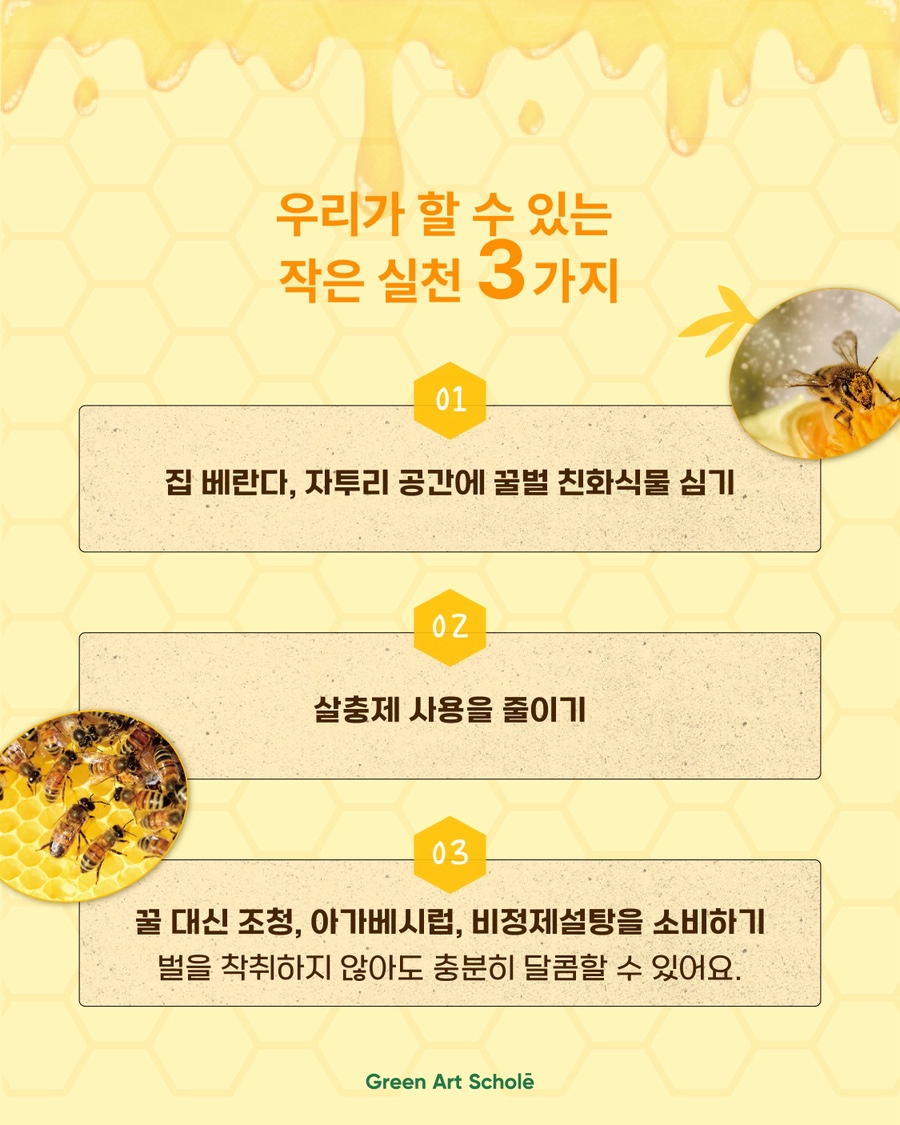 자연이야기 사진 6
