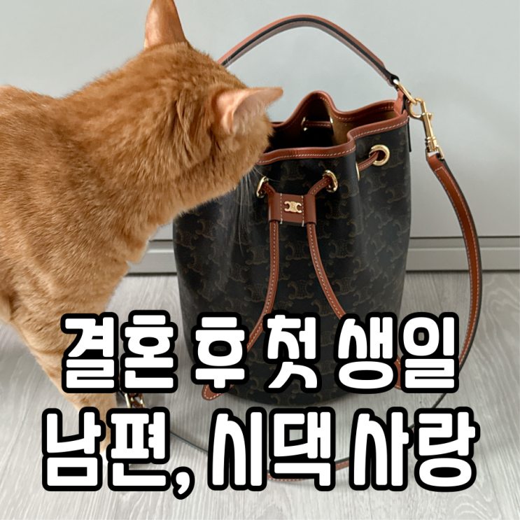  결혼 후 첫 생일 (시댁, 남편 선물)
