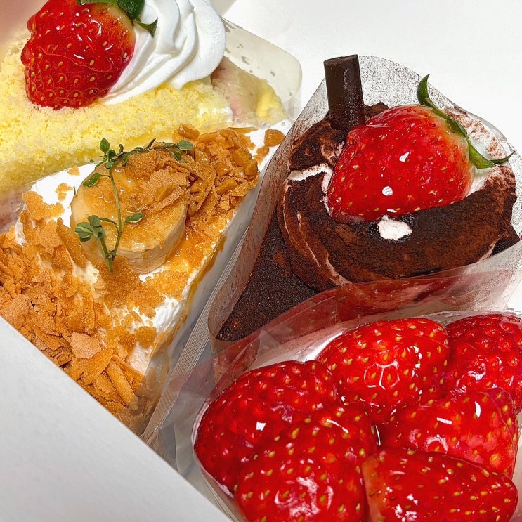  광주 상무지구 디저트 맛집 부부더상록 케이크 종류별 후기