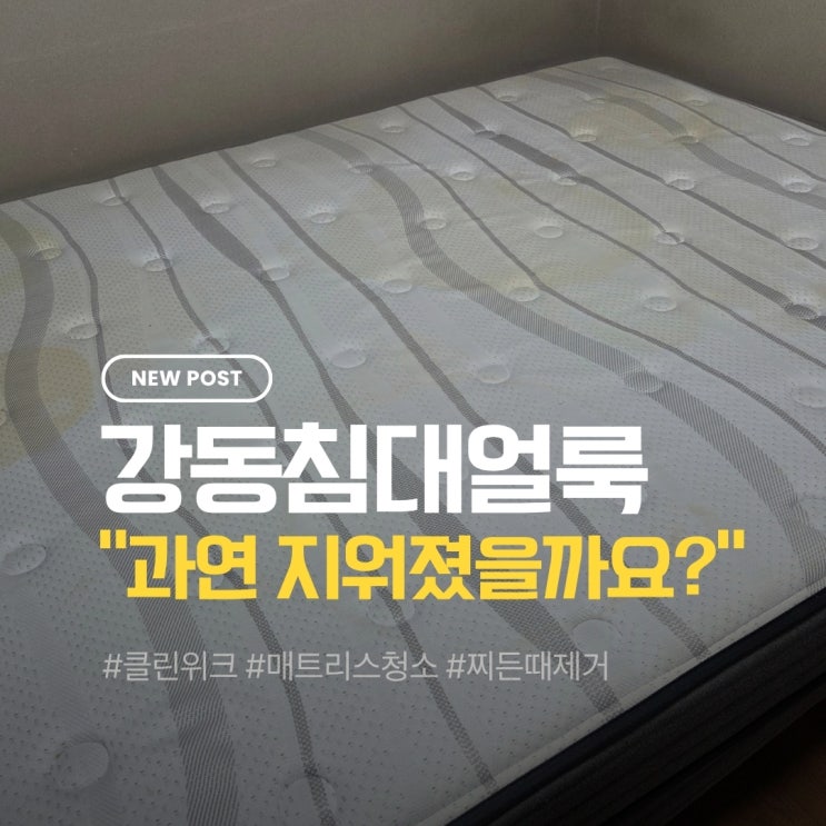  강동매트리스청소 강아지 오줌으로 오염된 침대 이렇게 달라졌습니다
