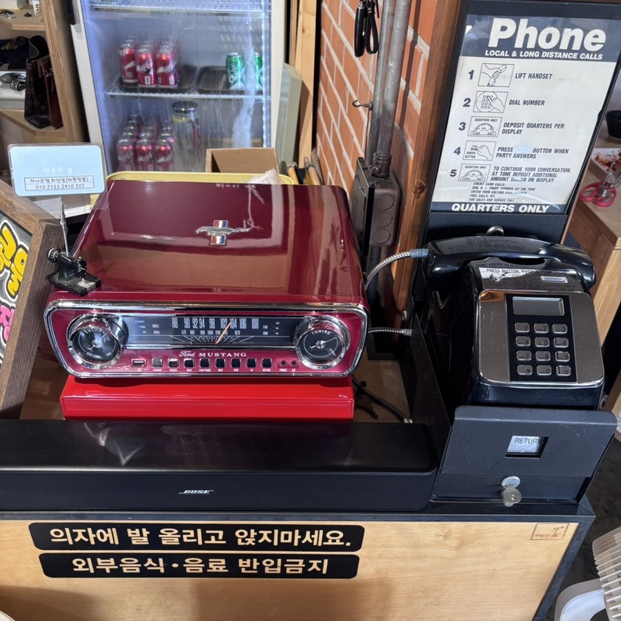 따뜻한봄 사진 4