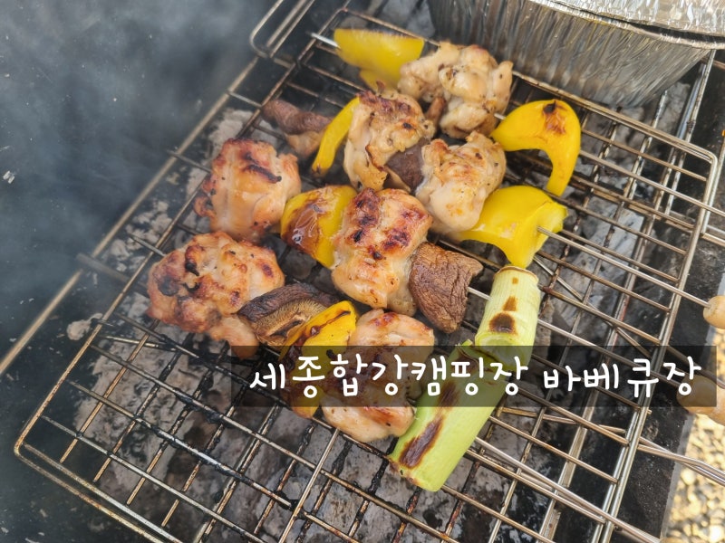 세종시 세종합강캠핑장 바베큐장 온라인예약 및 이용후기