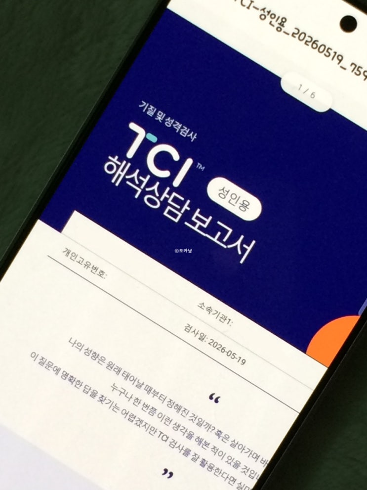  TCI 기질검사 온라인으로 할 수 있는 위드인사이트 심리검사 후기