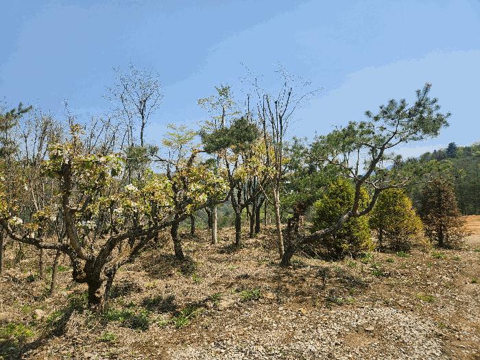 Keungalgol photo 1