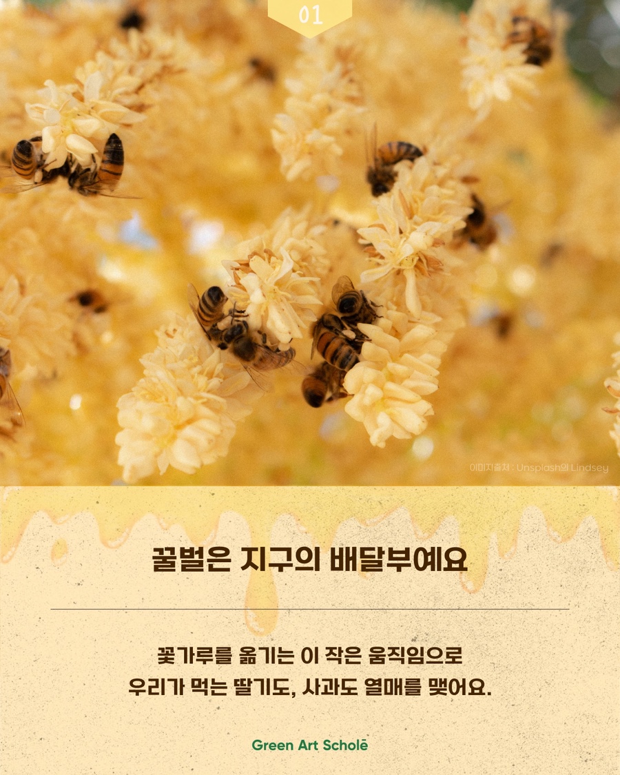 자연이야기 사진 3