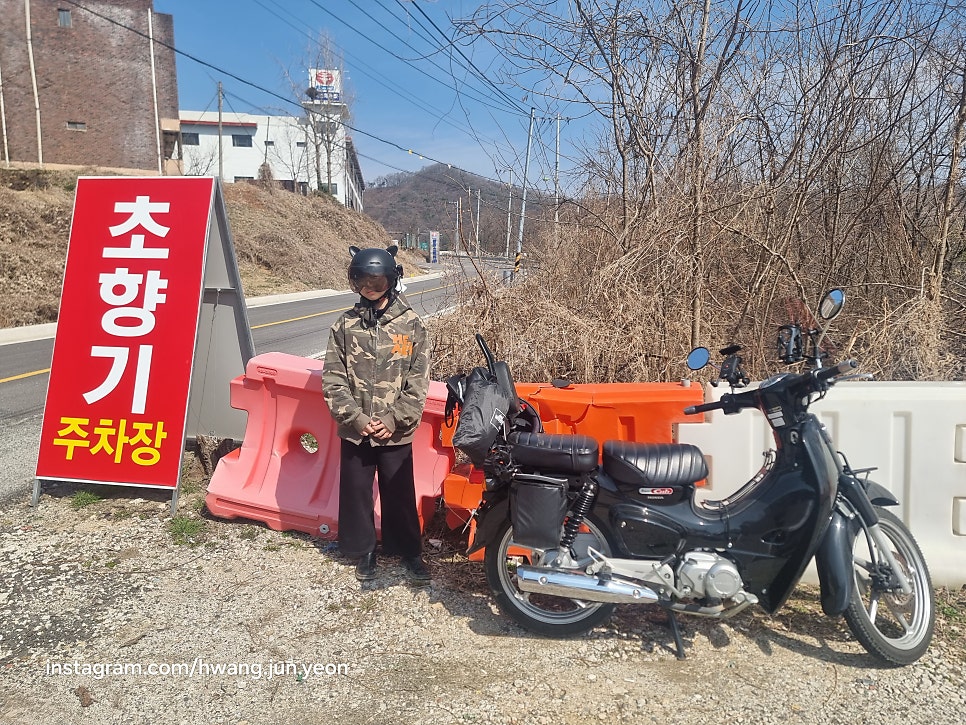 초향기 사진 2