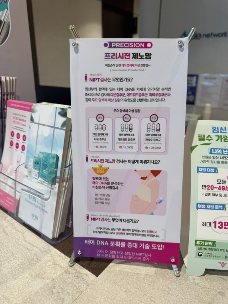 니프티검사 시기 비용 결과기간 지원