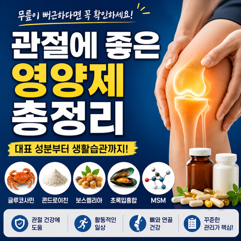 관절에 좋은 영양제 총정리! 보스웰리아부터 초록입홍합까지