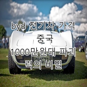 byd 전기차 가격 중국, 1000만원대 파괴력의 비밀