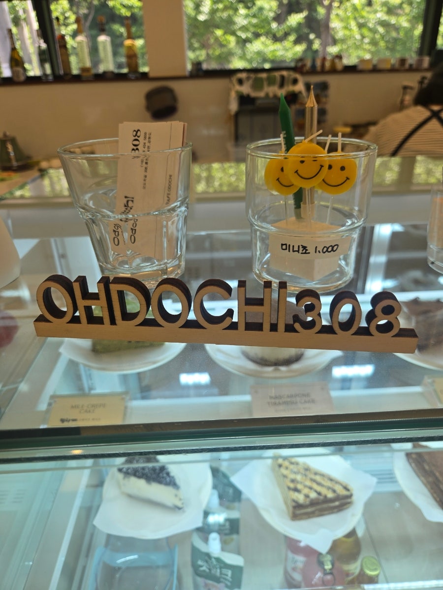 오도치308 사진 1