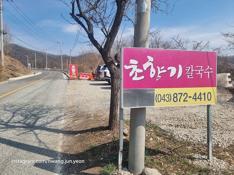 초향기 사진 1